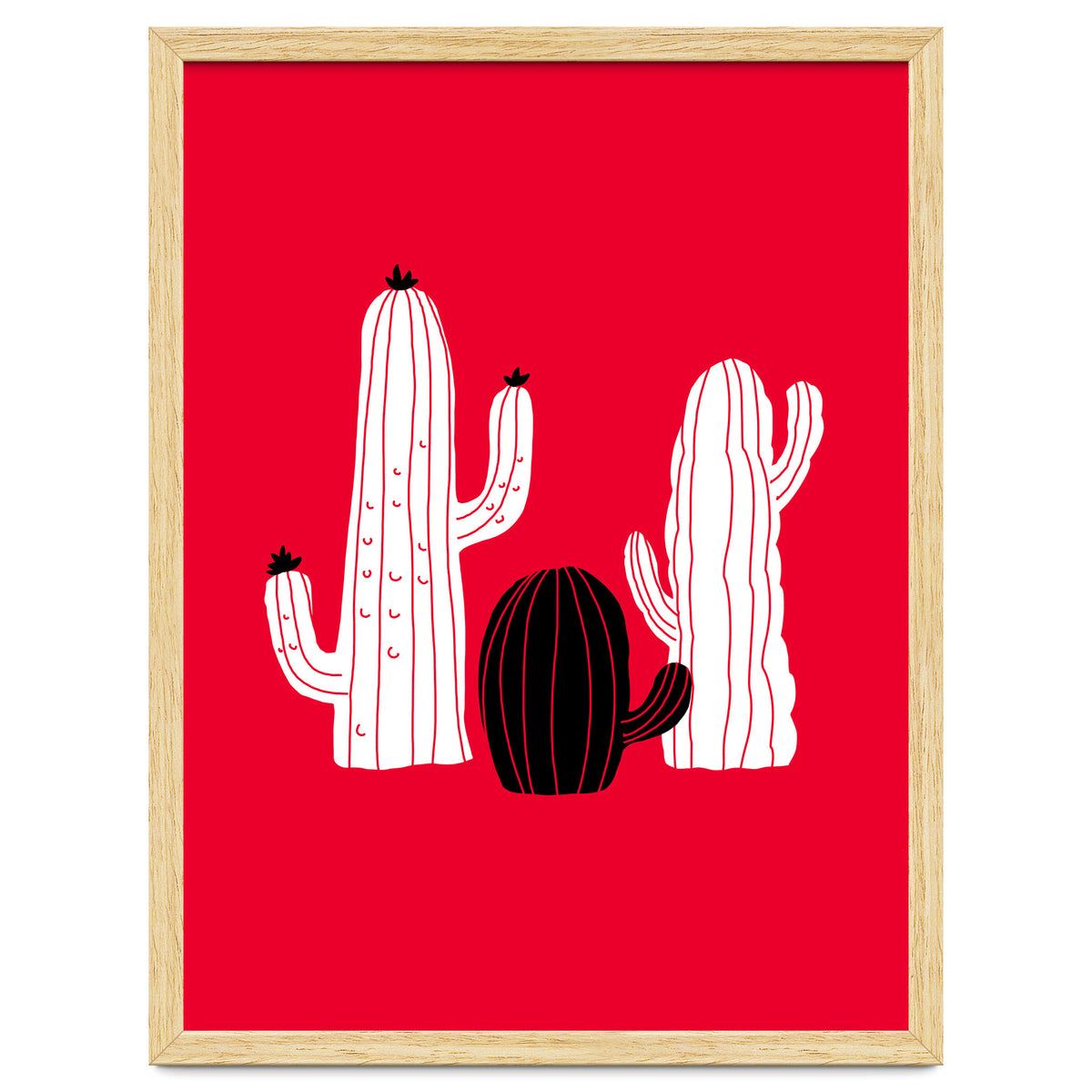 Cactus