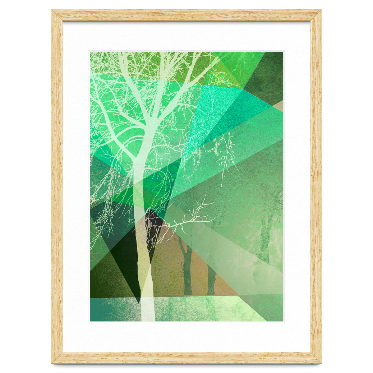 P22 B Trees And Triangles