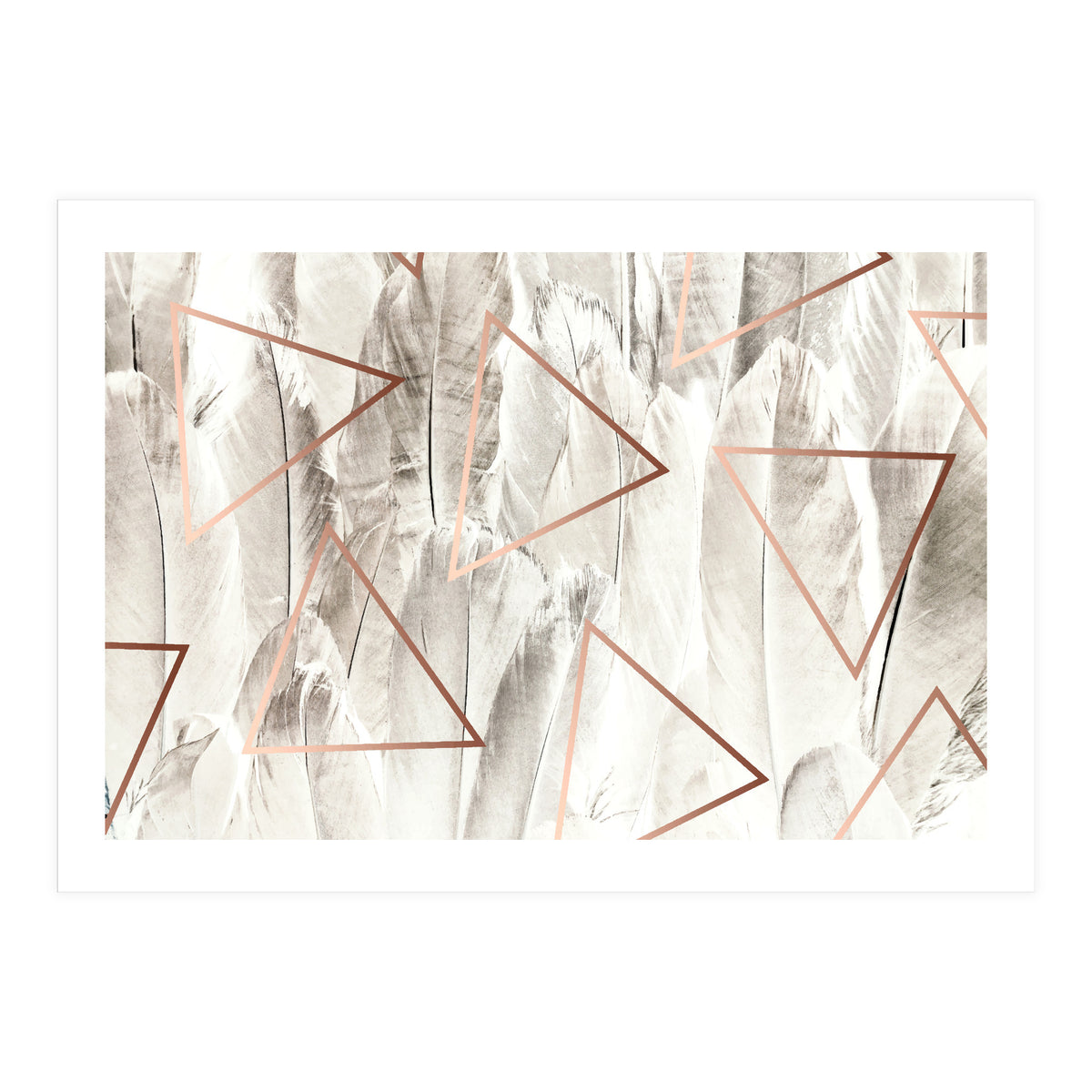 Feathers & Copper (Print Only)