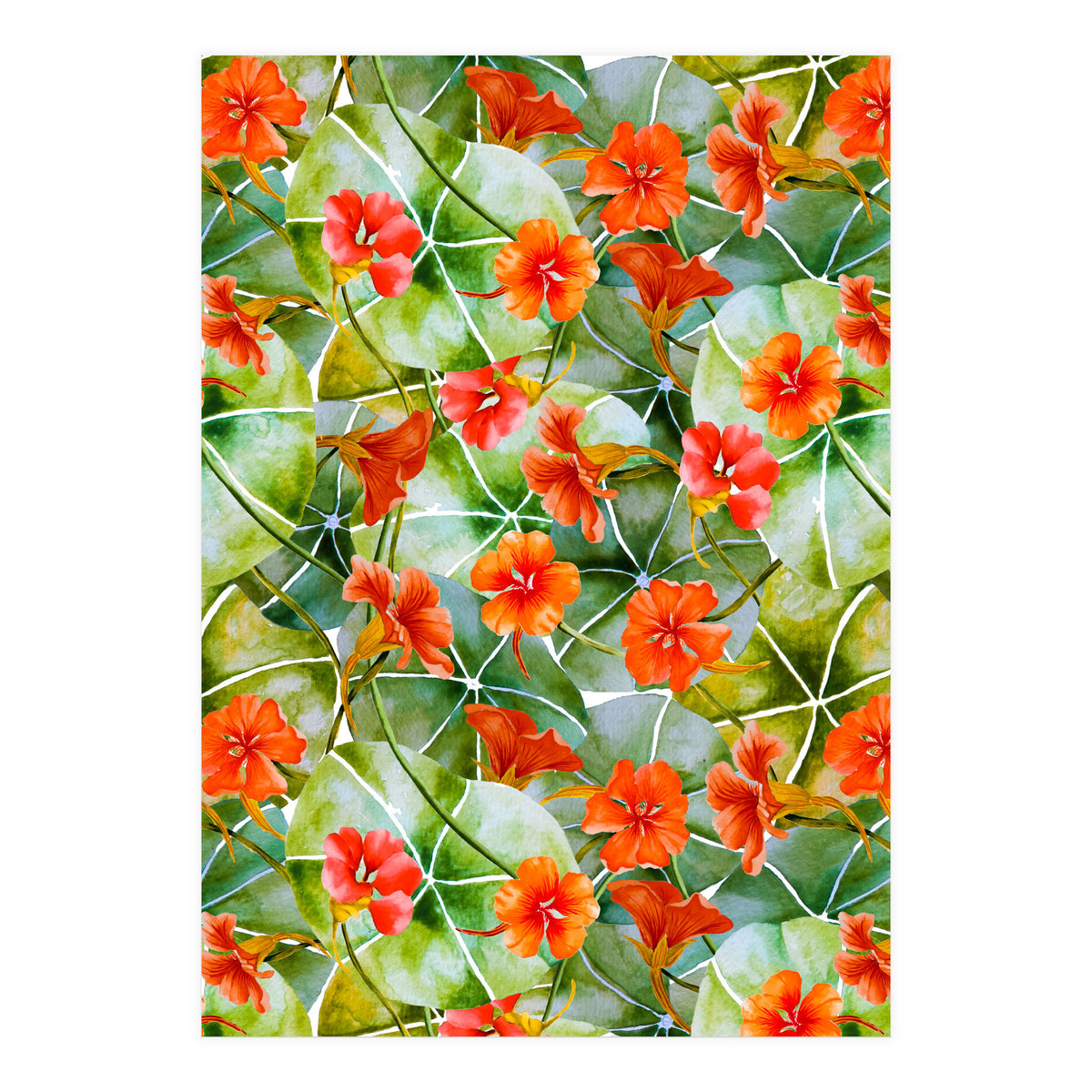 Nasturtiums watercolor 01 (Print Only)