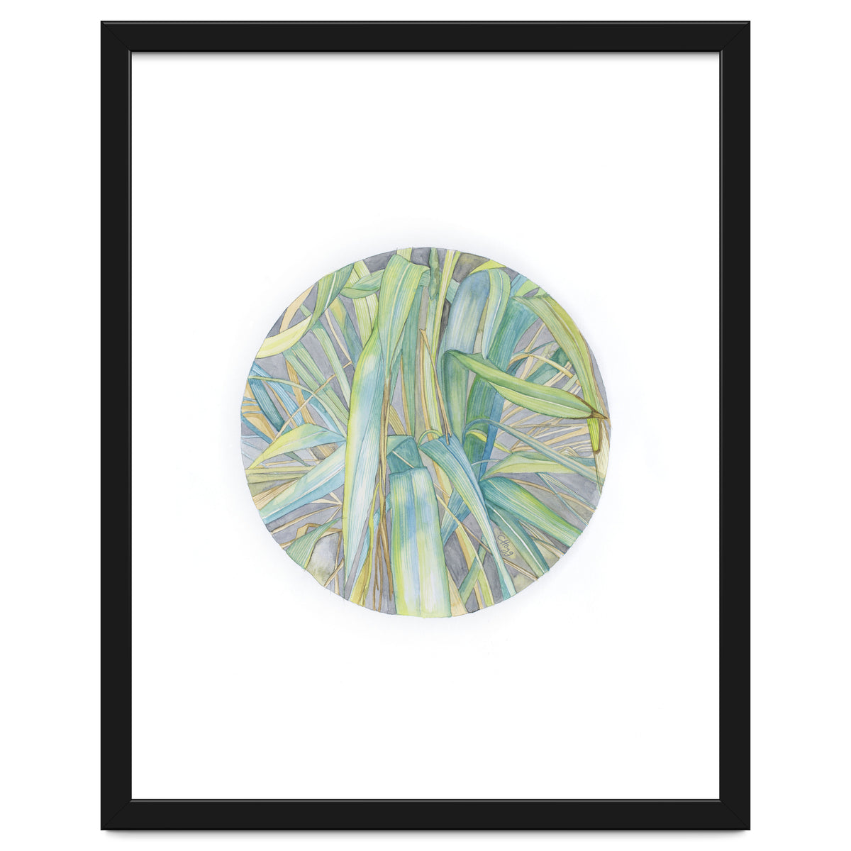 Grasses In The Late Summer Light