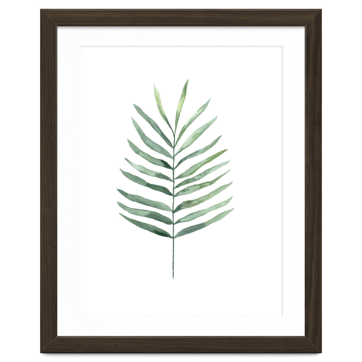 Botanical Illustration Fern