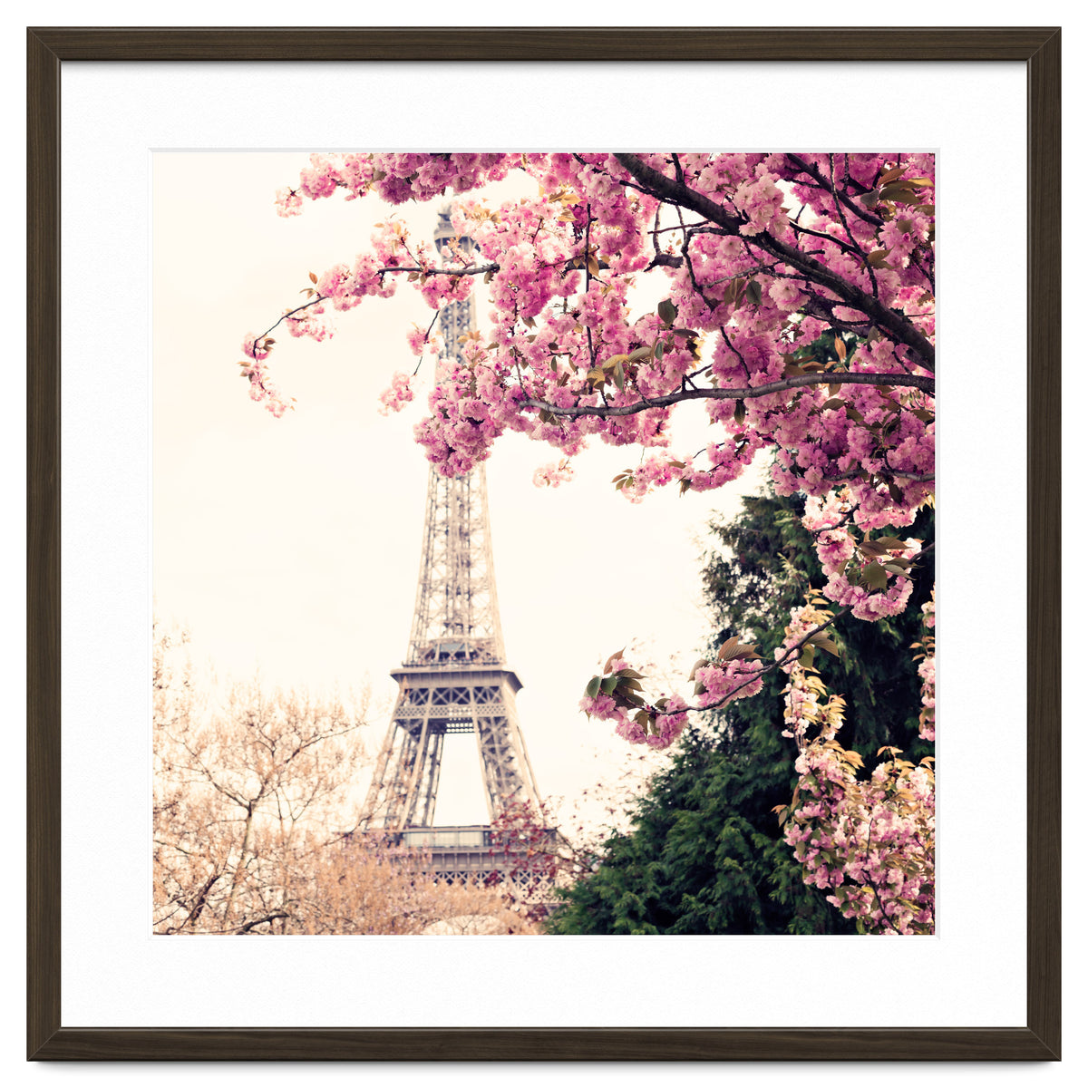 Paris in the Spring