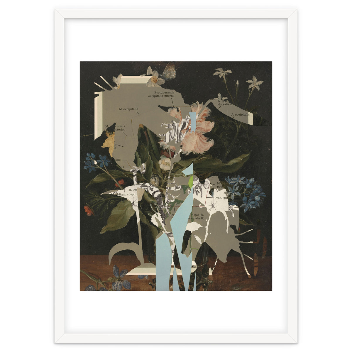 The First Plant · D2