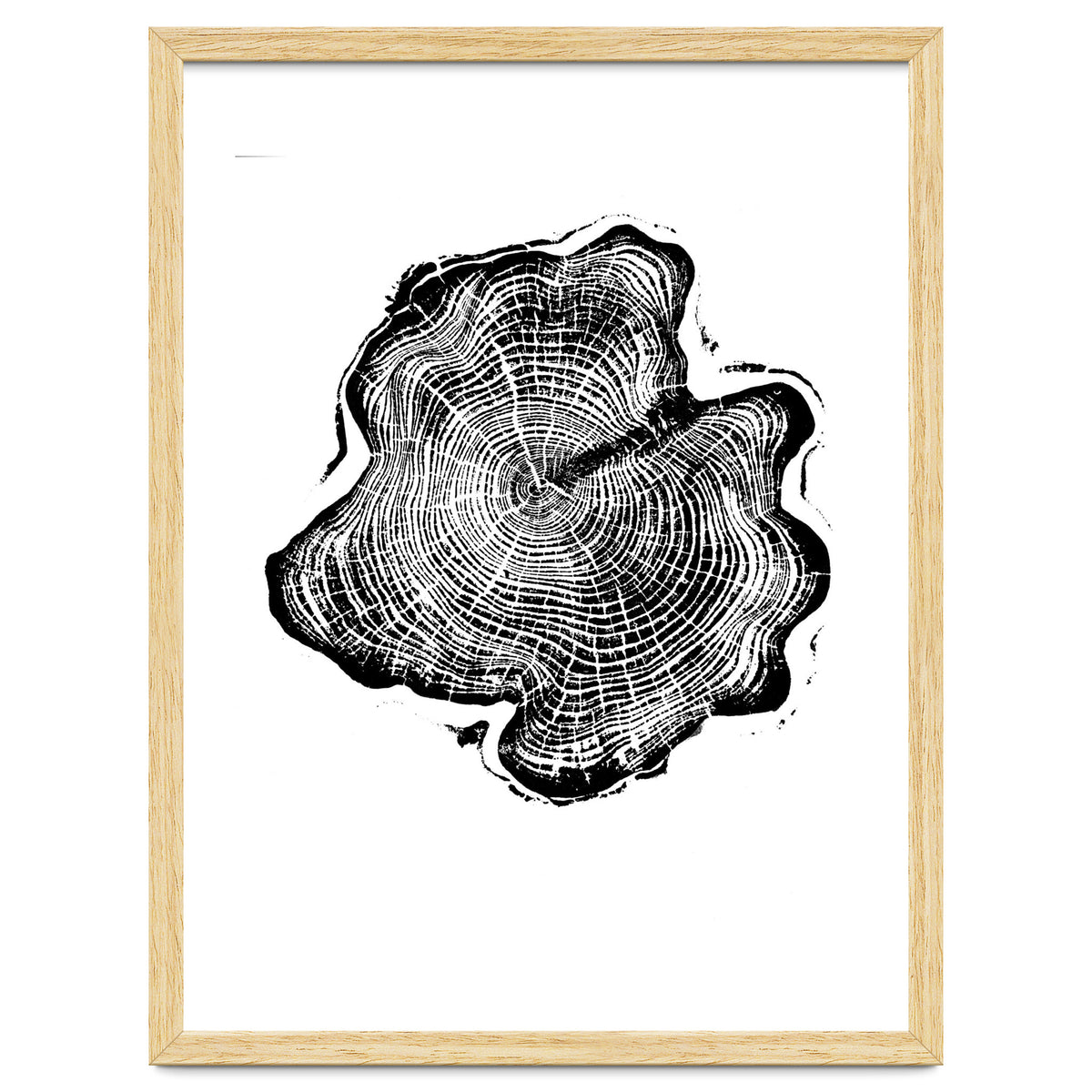 Alaskan Cypress, Tree Ring Art Print, Woodblock