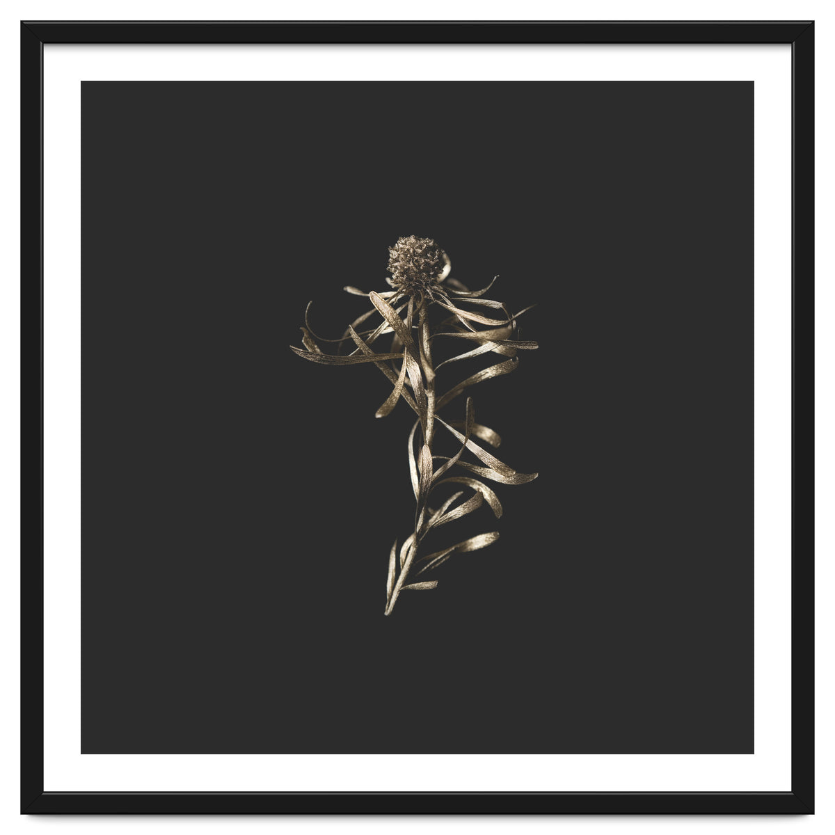 Magical Golden Fynbos - Square