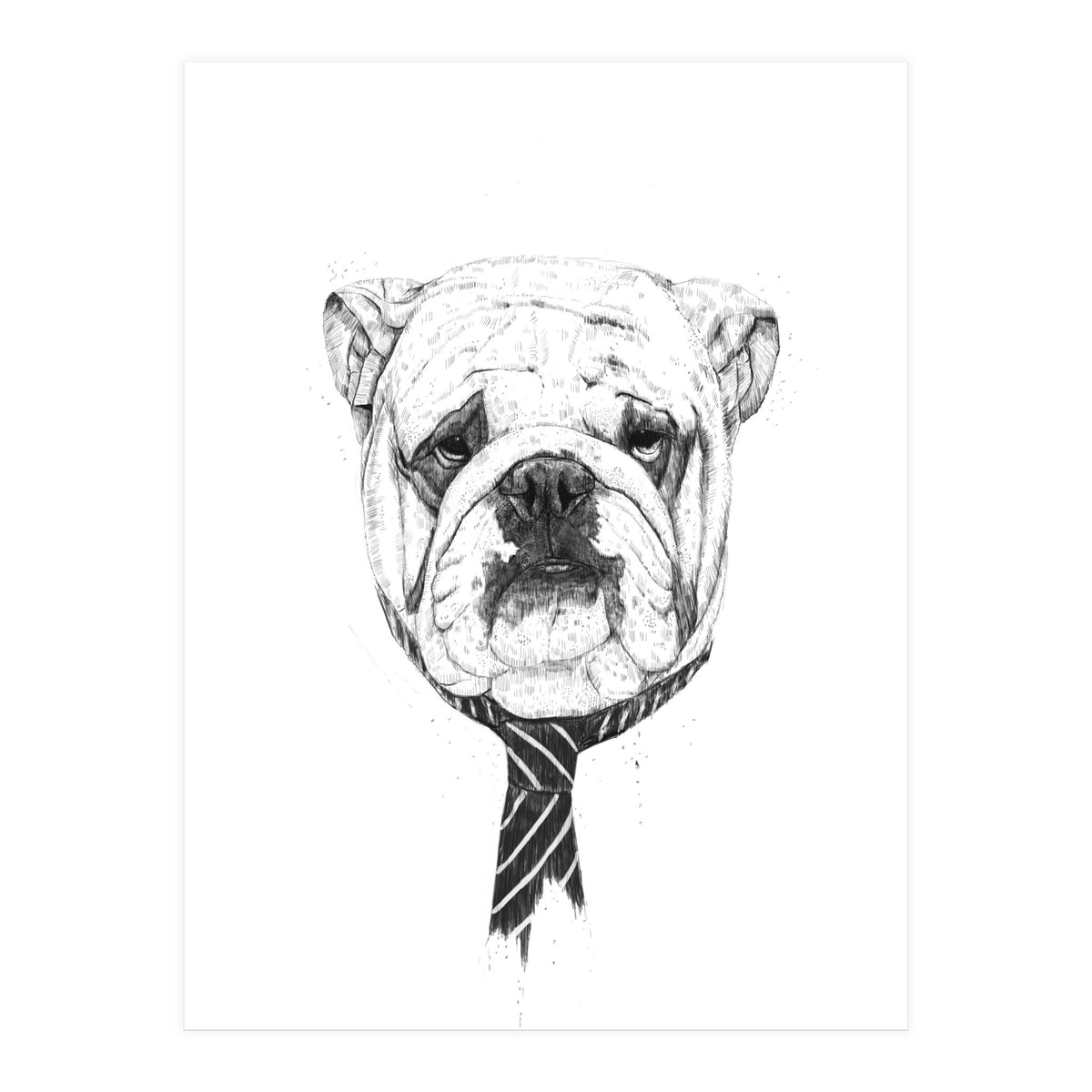 Cooldog (Print Only)