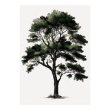 Tree Minimalist Watercolor (Print Only) thumbnail