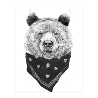 Wild Bear (Print Only)