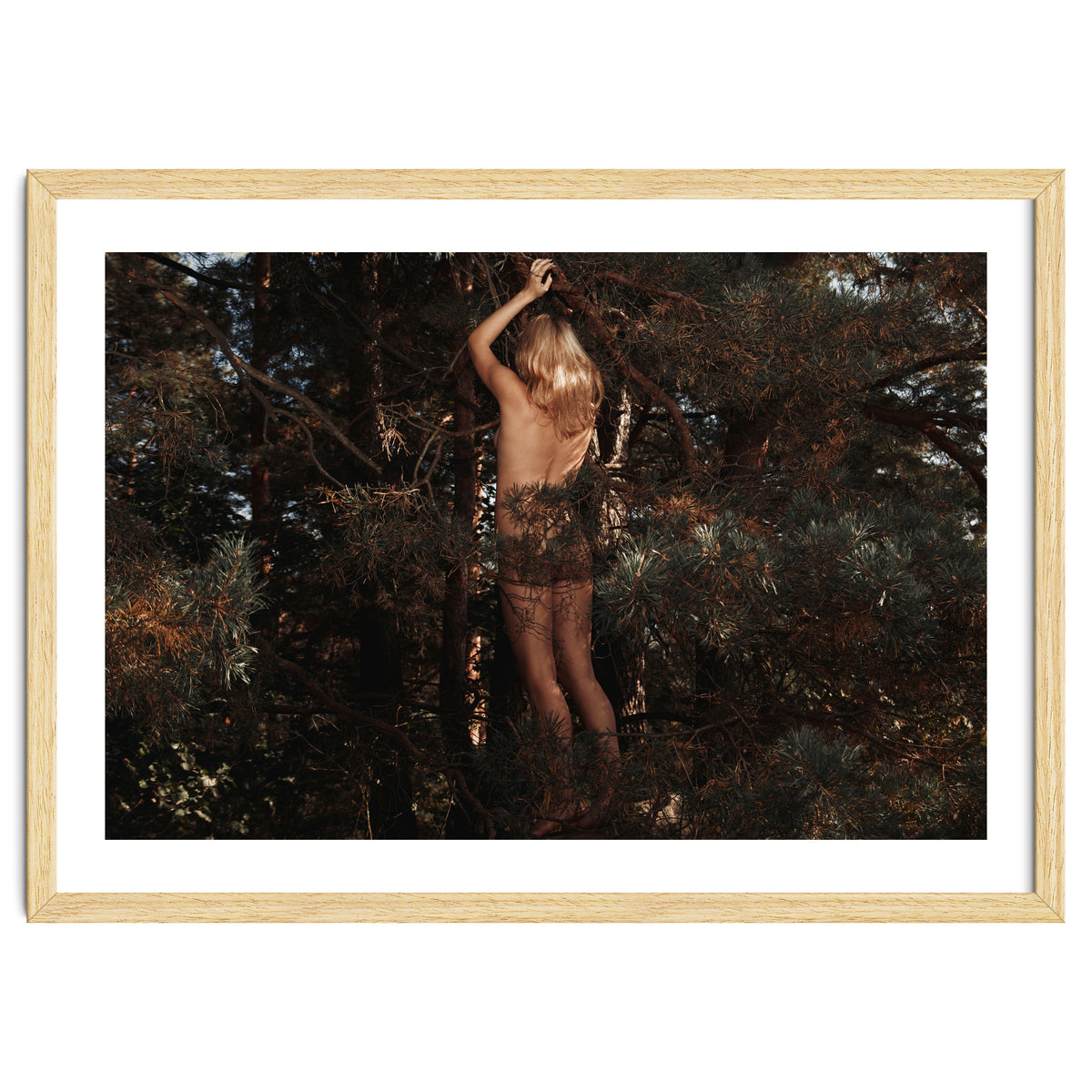 The kids Are all Wild