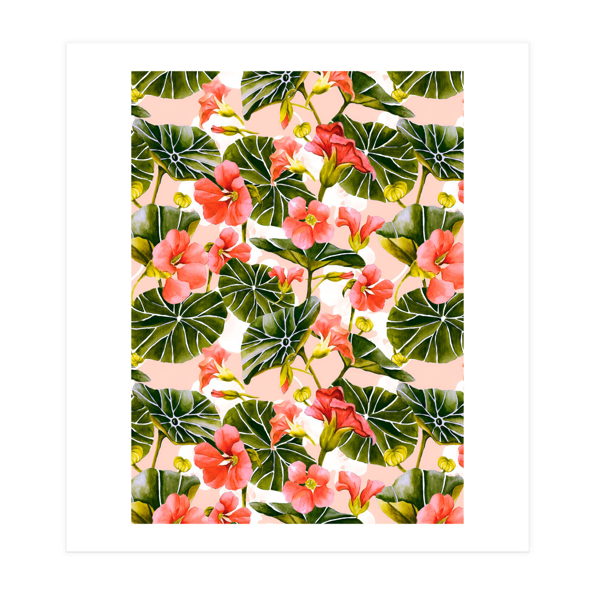 Nasturtiums watercolor 03 (Print Only)