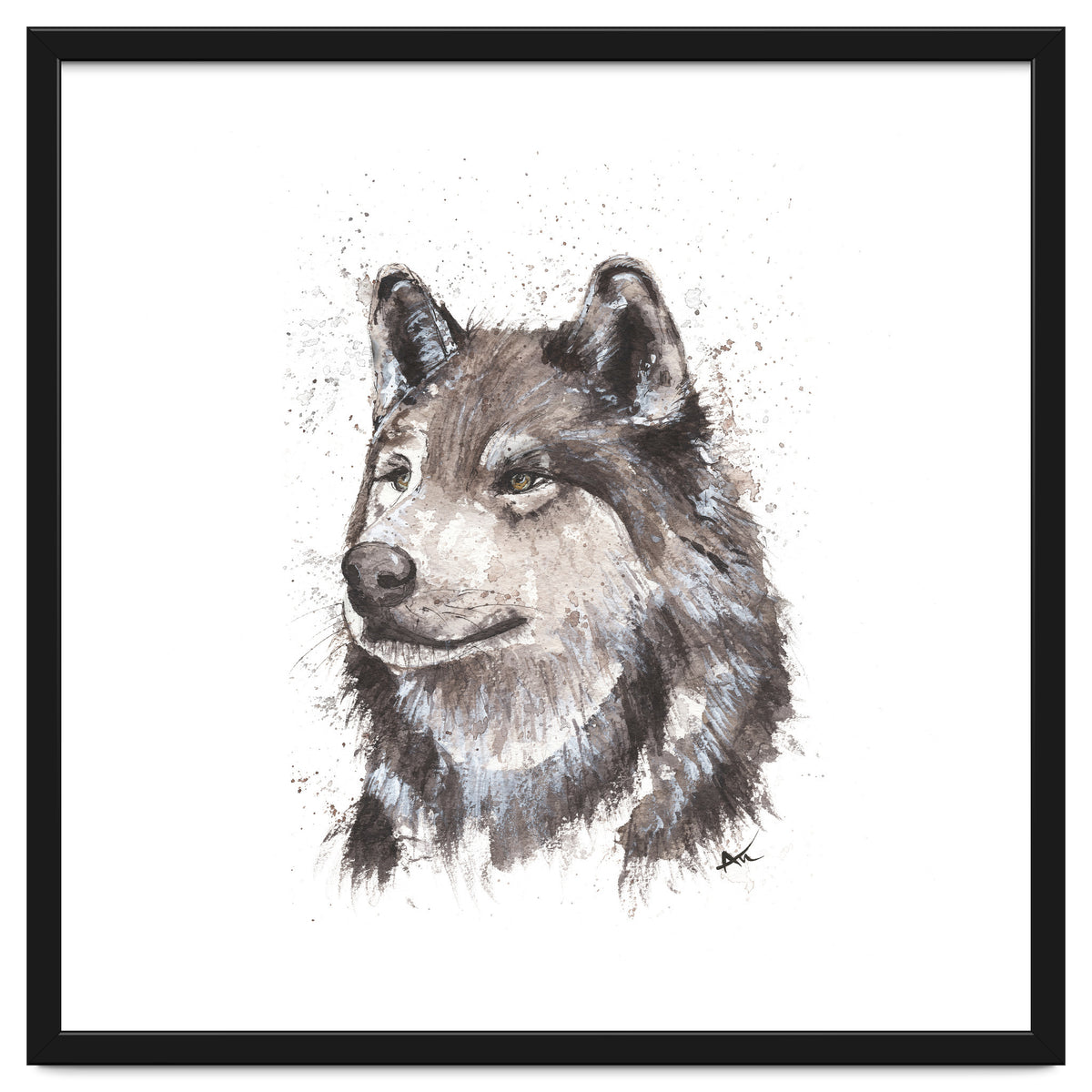 Wolf - Wildlife Collection