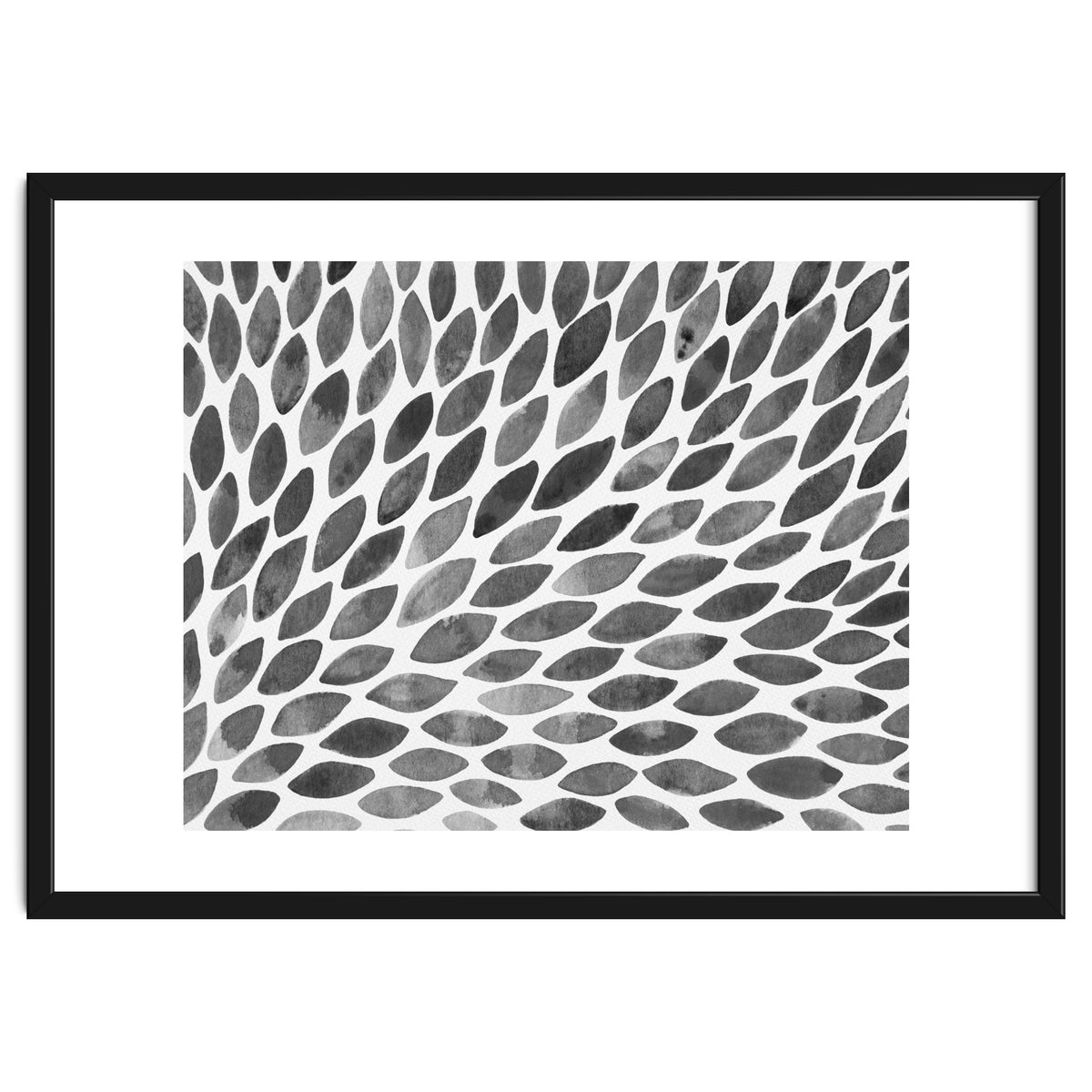 Black and white petal burst