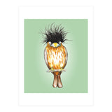 Brahminy starling (Print Only) thumbnail
