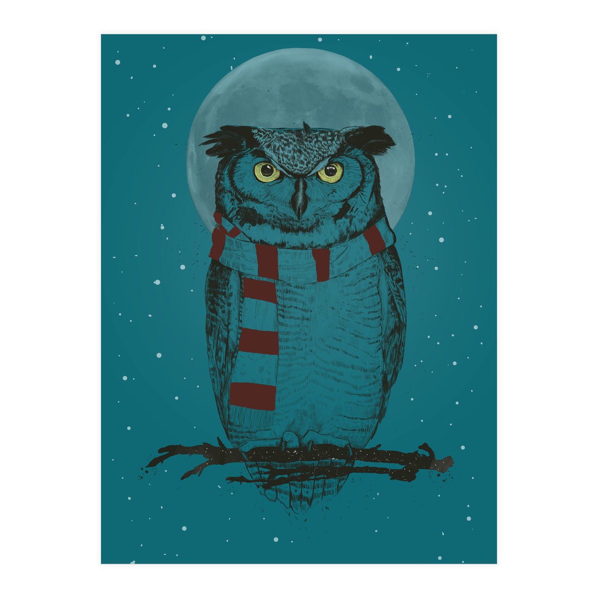 Winter Owl II (Print Only)