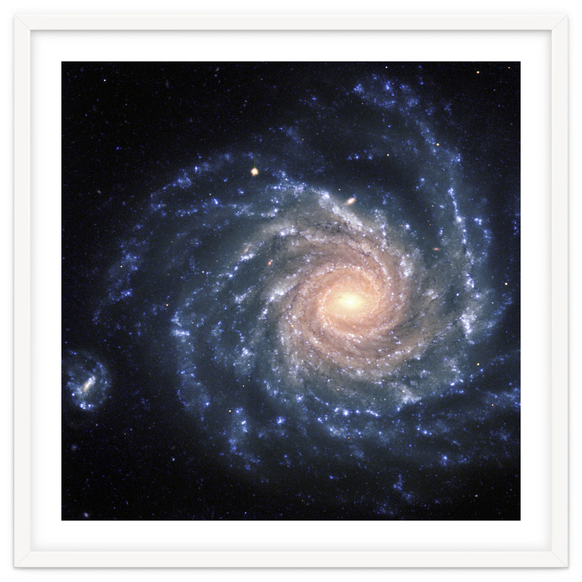 Spiral Galaxy NGC 1232