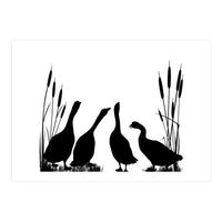 Gooses talk (Print Only)