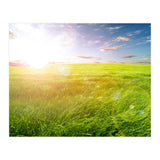 Nature (Print Only) thumbnail