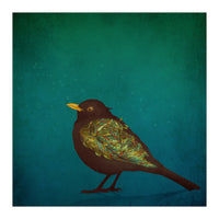 Camouflage: The Blackbird (Print Only)