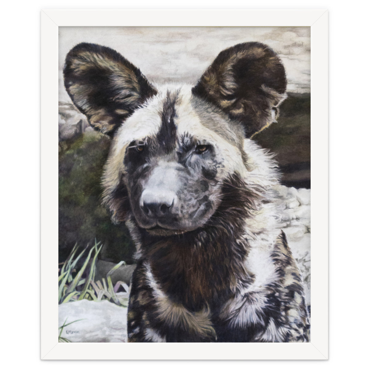African Painted Dog II