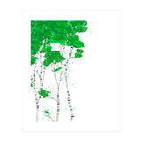 Birch forest (Print Only) thumbnail
