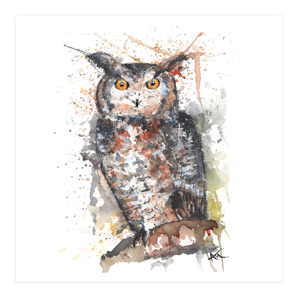 Owl - Wildlife Collection (Print Only)