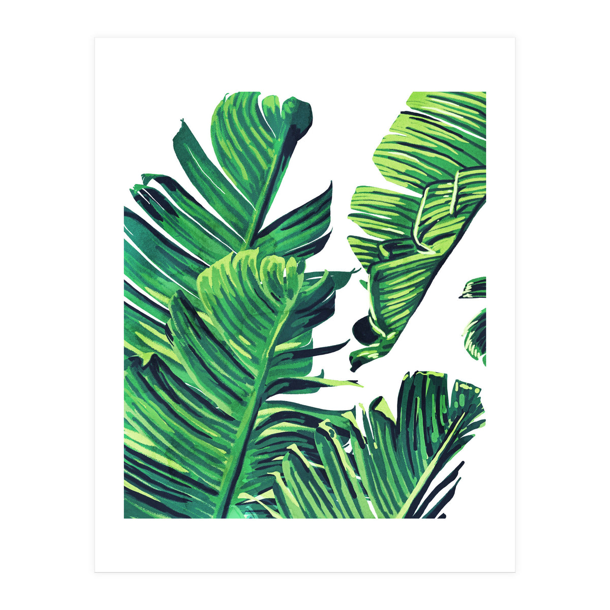 Banana Tree Leaves (Print Only)