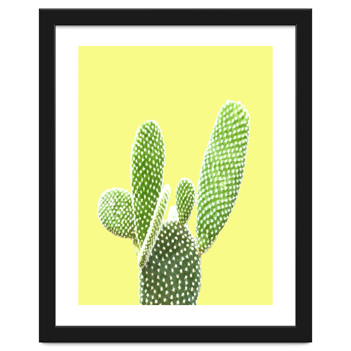 Cactus Yellow Background