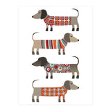 Sausage Dogs In Sweaters (Print Only) thumbnail