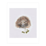 Echidna - Australian Animal Series (Print Only) thumbnail