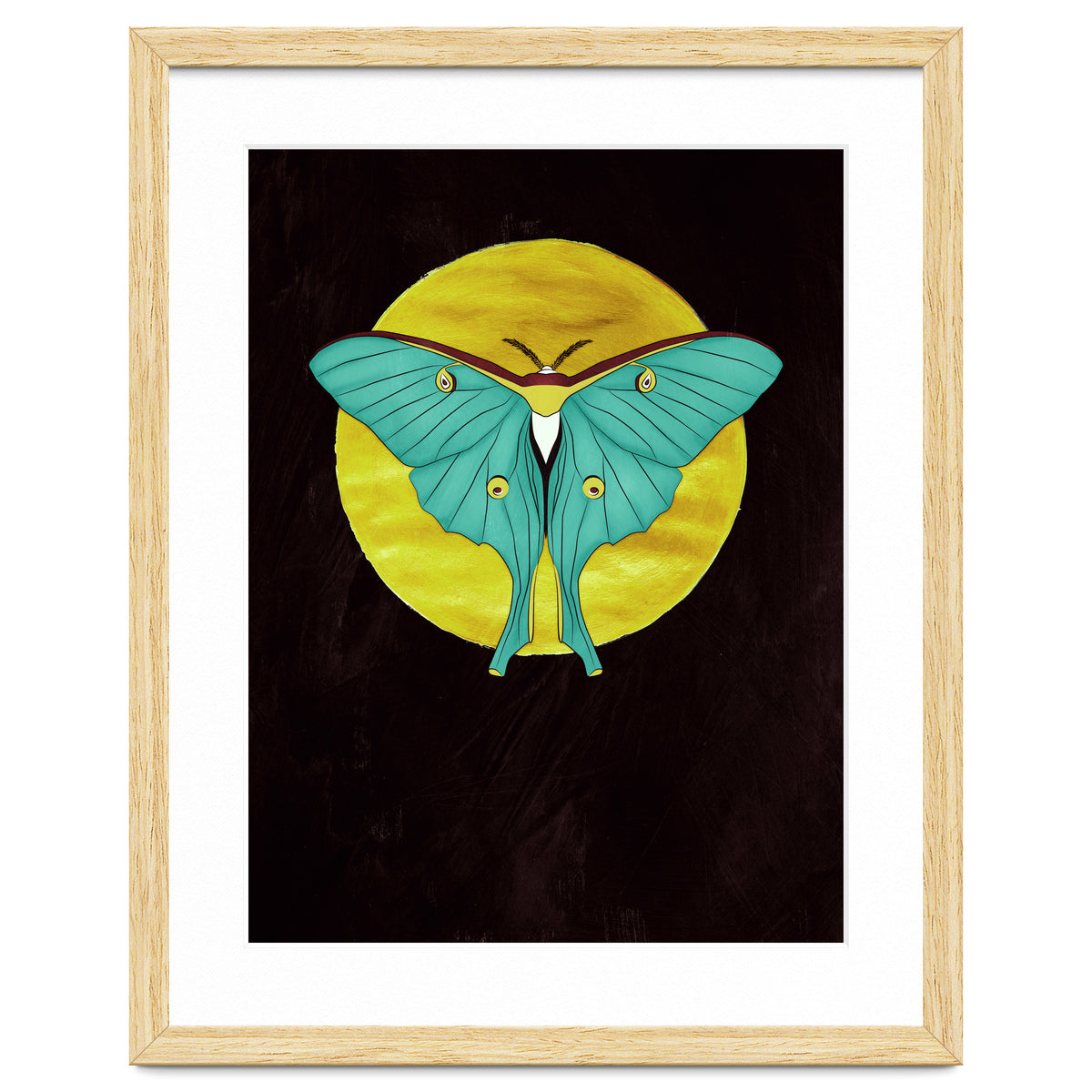 Luna Moth Moon