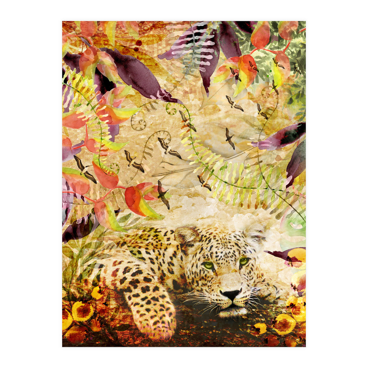 A Life Wild (Print Only)