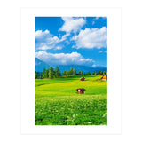 Nature (Print Only) thumbnail