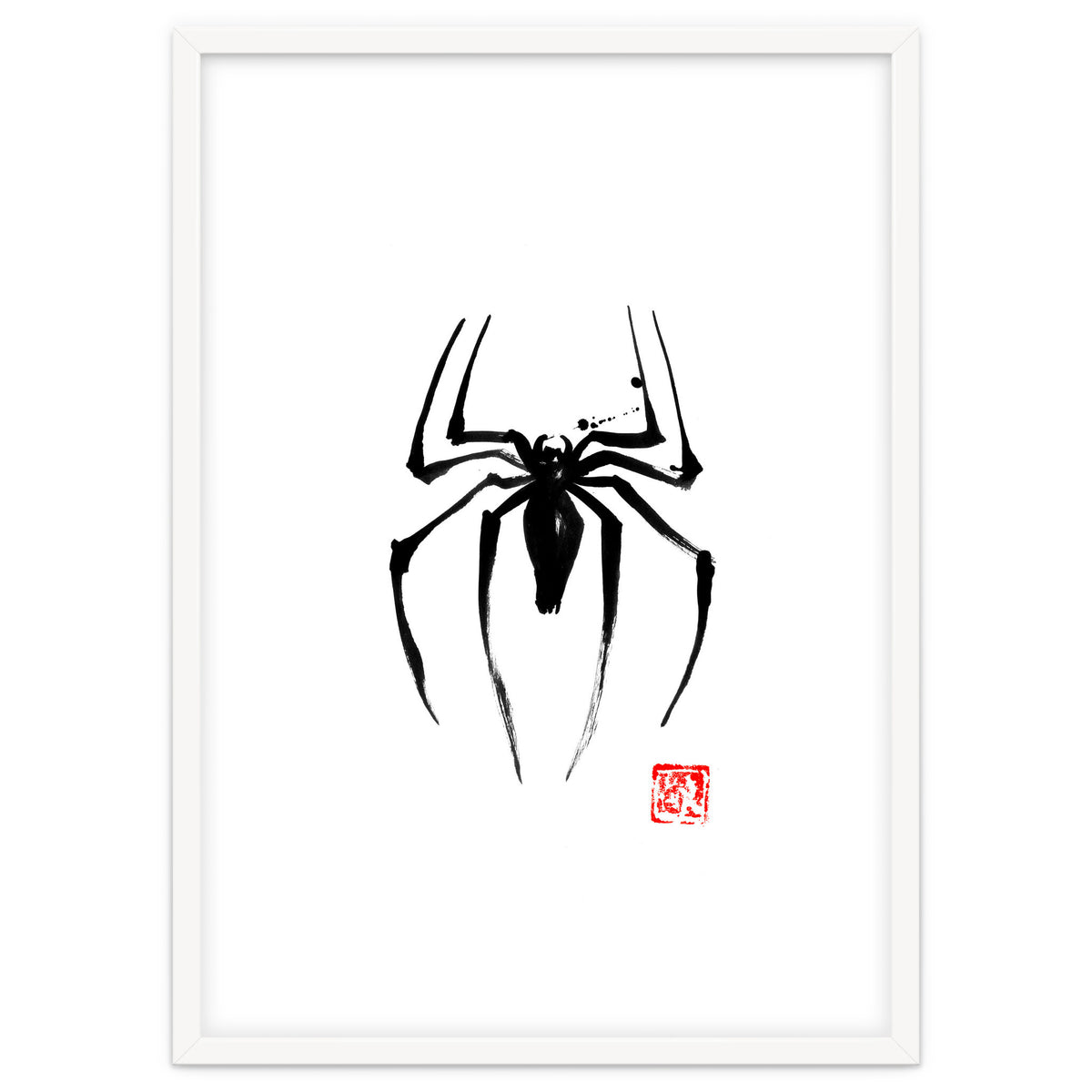 Spider