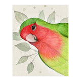 Curious lovebird (Print Only) thumbnail