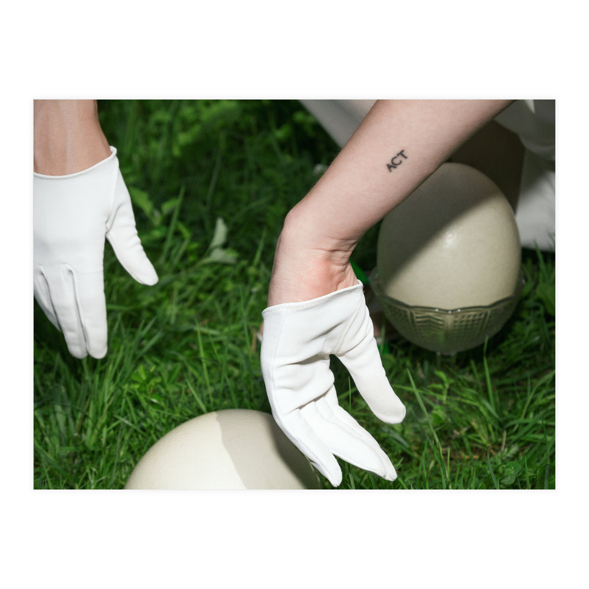 Dinosaur Inside (Print Only)