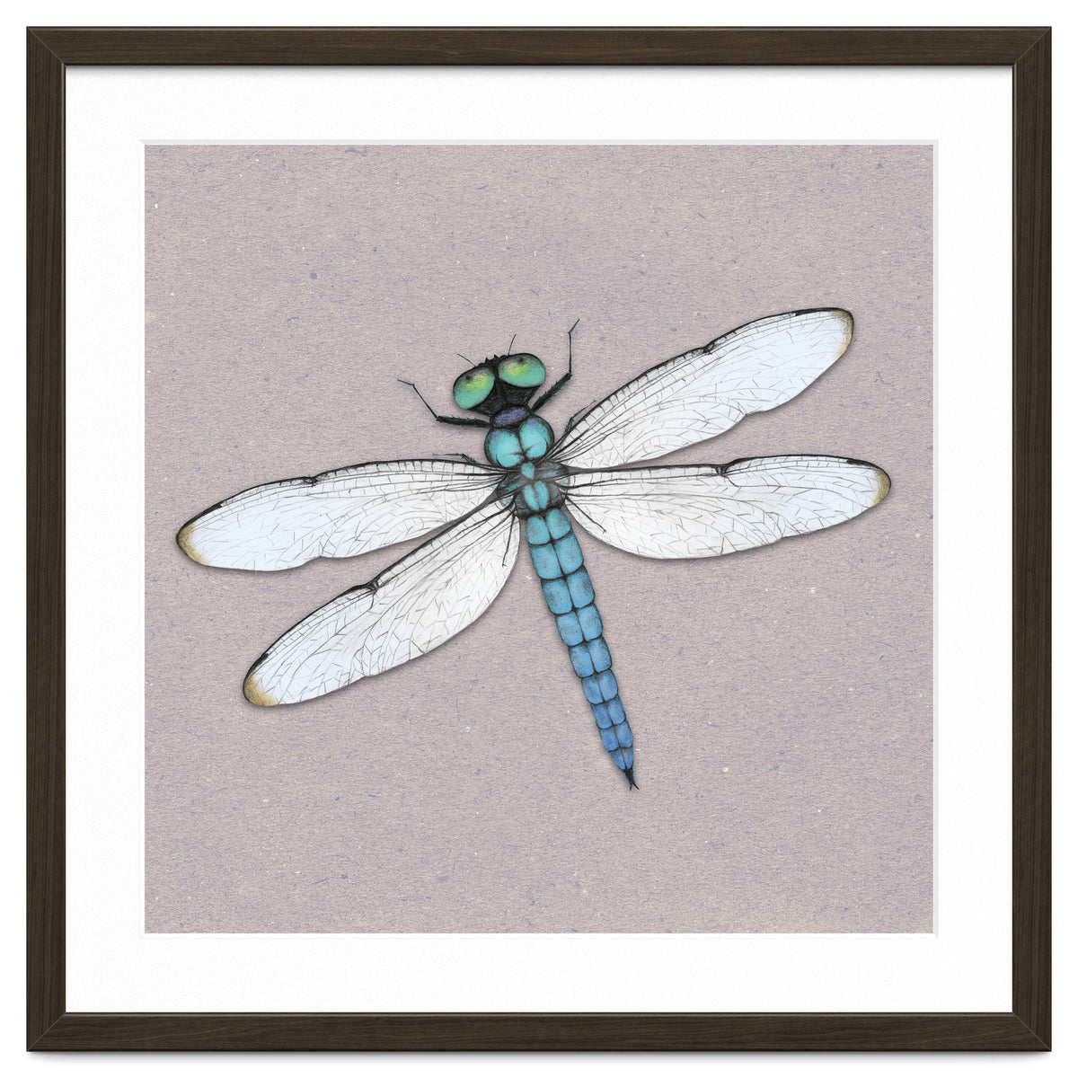 Blue dragonfly