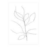 Seven Leaf Plant (Print Only) thumbnail