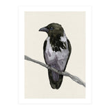 Hooded crow watercolor (Print Only) thumbnail