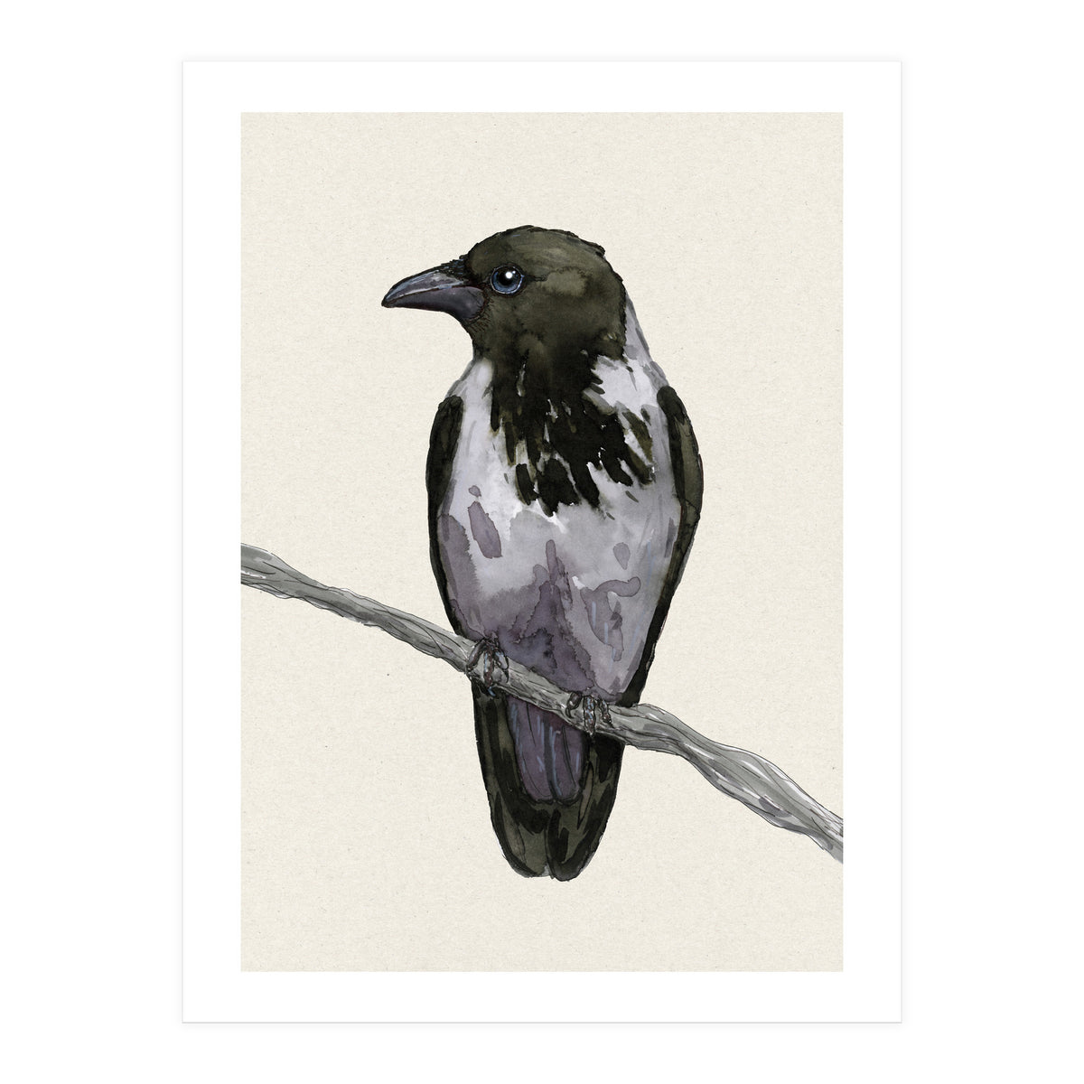Hooded crow watercolor (Print Only)
