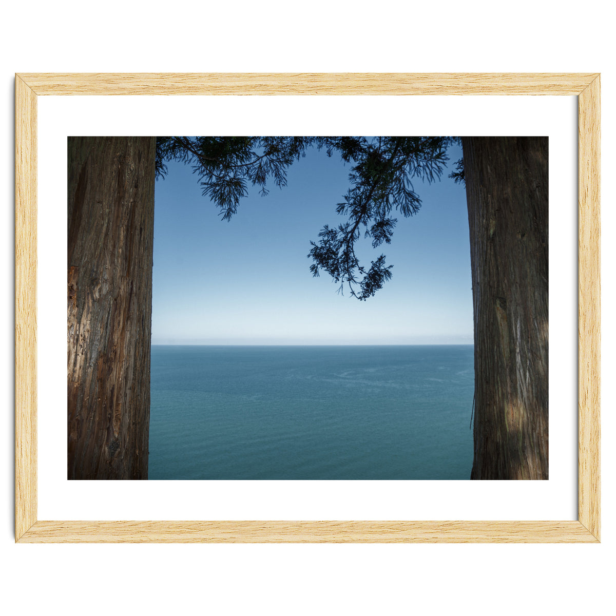 Picture Postcard Perfect