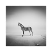 Zebra Mist (Print Only)