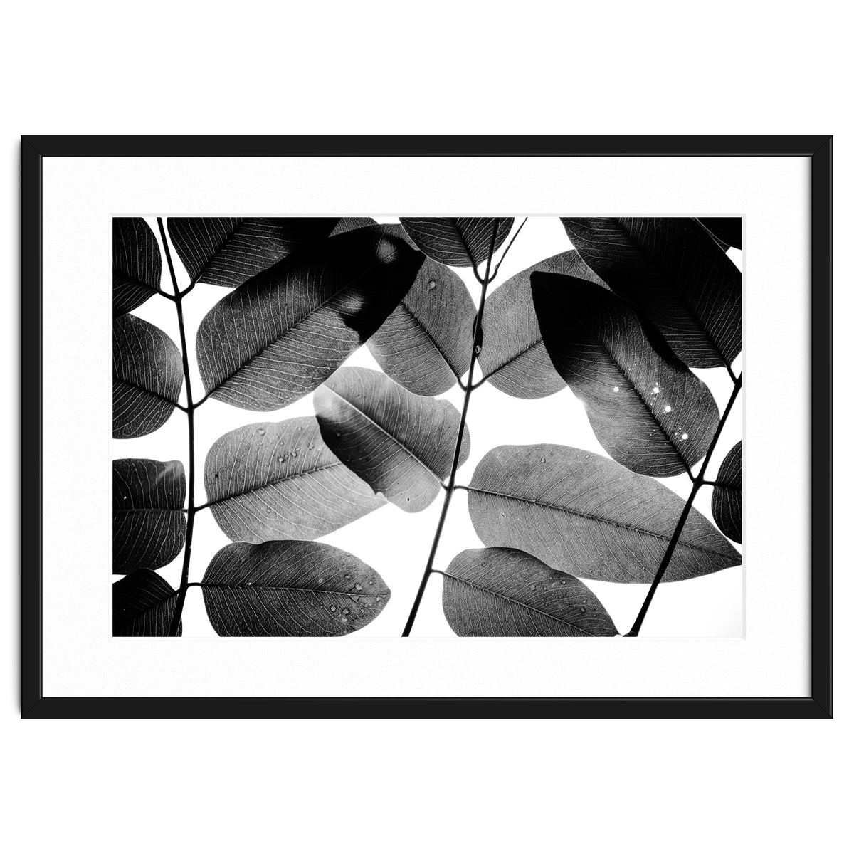 Experiments with Leaves II