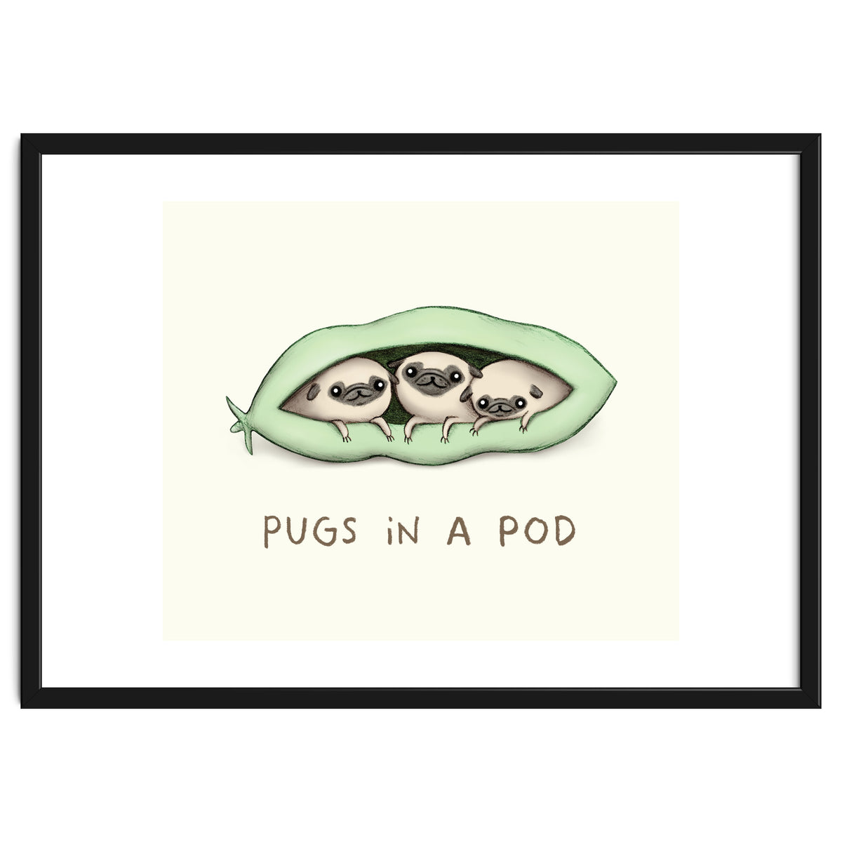 Pugs In A Pod