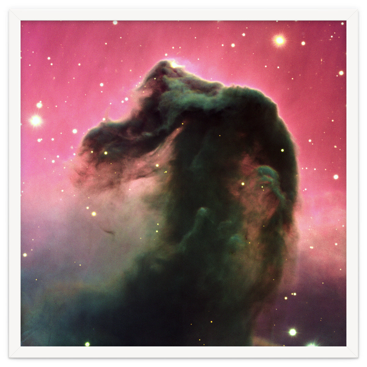The Horsehead Nebula