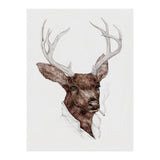 Smokin Buck (Print Only) thumbnail