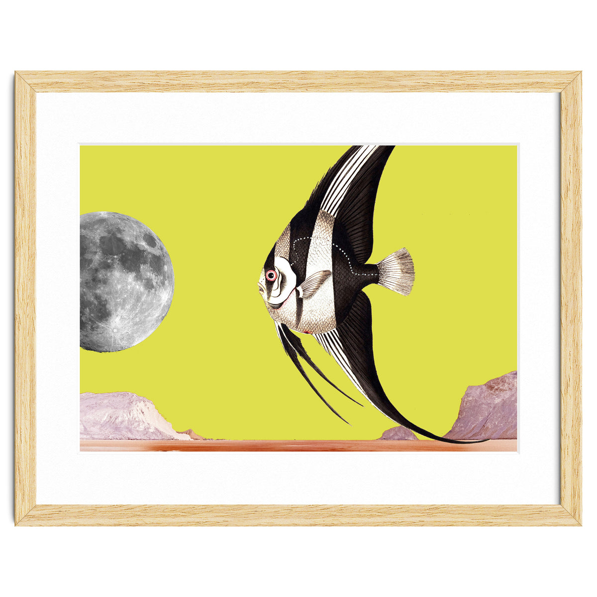 Plenty of fish in the sea yellow