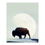 Wild West (Print Only) thumbnail