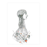 Anatomy (Print Only) thumbnail