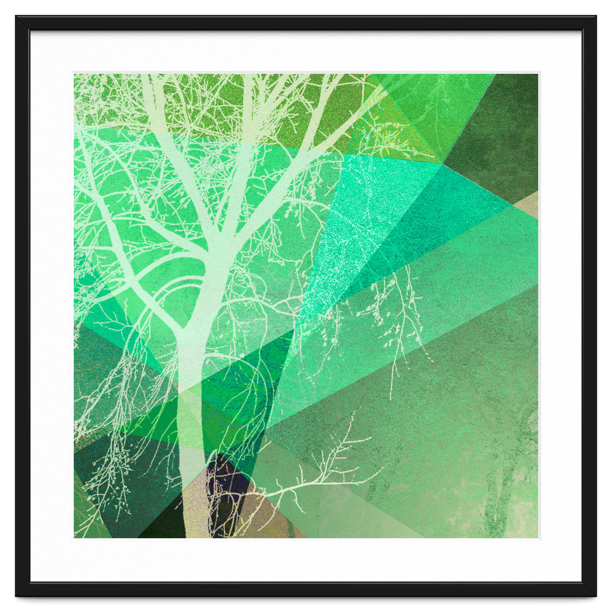 P22-B3 Trees And Triangles